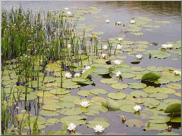 Laharadda Lough